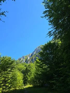 Bedeleu Mountain seen through the trees Stock Photos