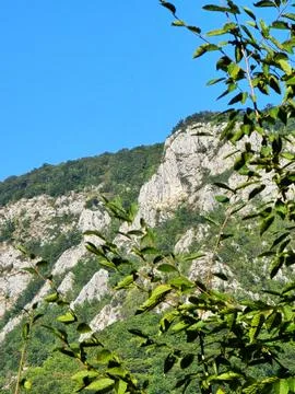 Bedeleu Mountain top Stock Photos