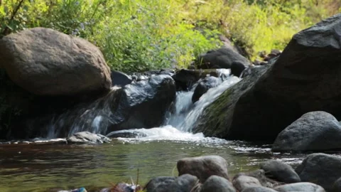 Bedengan Stock Footage 170883856