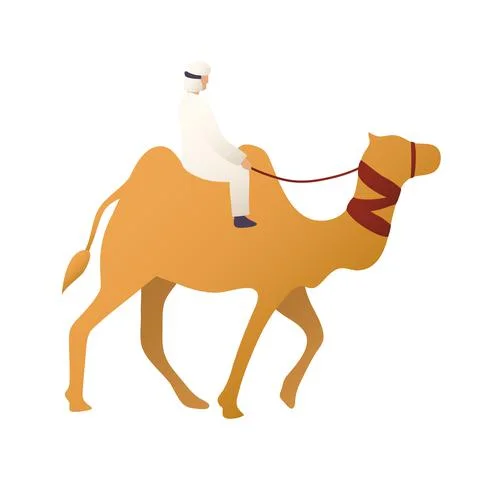 Bedouin in camel Stock Illustration