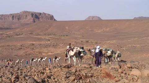 Bedouin caravan walking through stony desert in the Hoggar Mountains Stock Footage 68496249