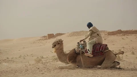 Bedouin in the desert Stock Footage 71786796