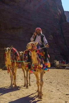 Bedouin man with camels, Petra Stock Photos