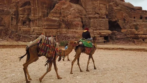 Bedouin riding a camel on the background of rocks in Jordan Stock Footage 123601128