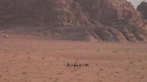 Bedouin with tree camels walking Stock Footage 8679239