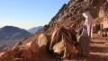 Bedouins with camels. Mount Sinai. Egypt HD Footage