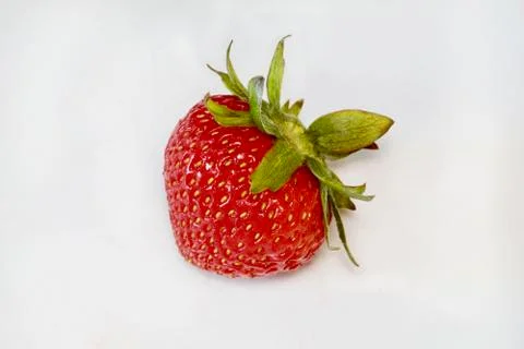 Bedraggled Strawberry Stock Photos