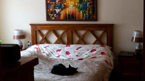 Bedroom Stock Photos