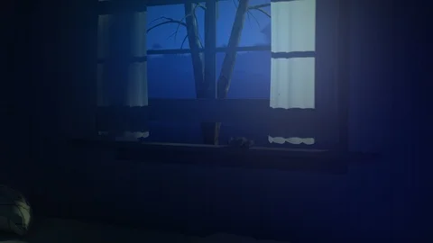 Bedroom Visitor Stock Footage 125199282