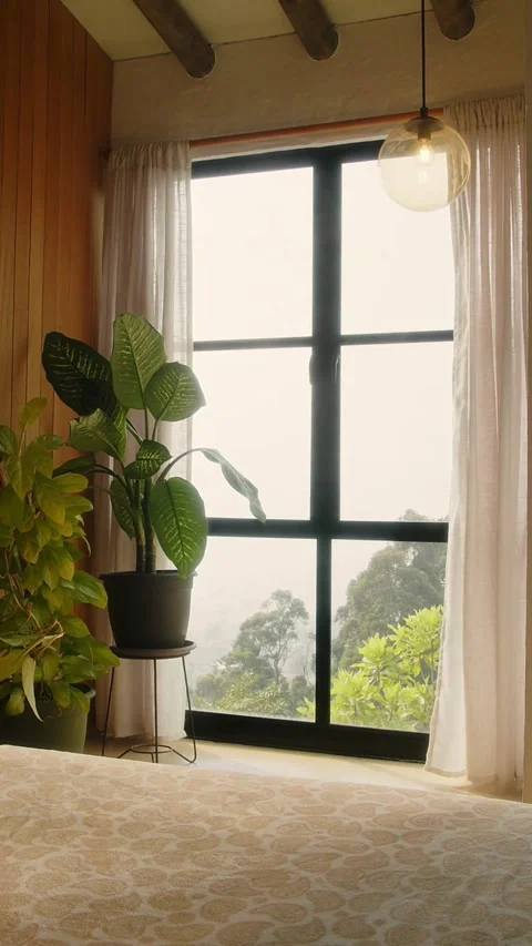 Bedroom window with potted plants looking out to forest Video stock 331772758