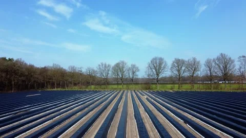 Beds packed in the country Stock Footage 150975126