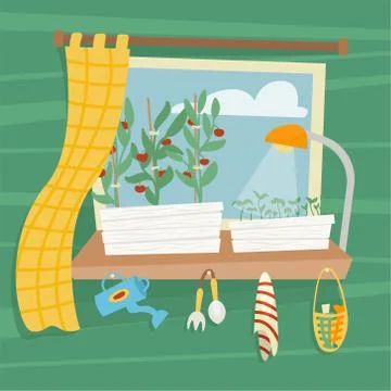 Beds with seedlings for growing vegetables on the window in the apartment. Stock Illustration