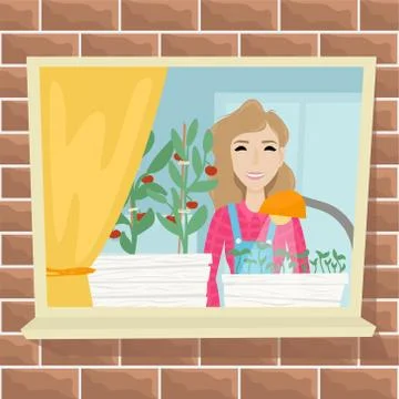 Beds with seedlings for growing vegetables on the window in the apartment. Stock Illustration