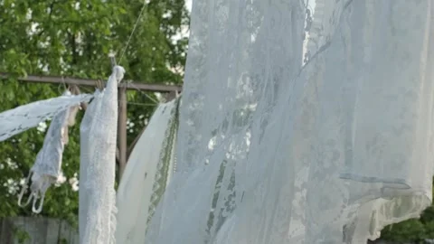 Bedsheet flutters on clothesline in backyard, its white, soft fabric contrasting Stock Footage 247837468