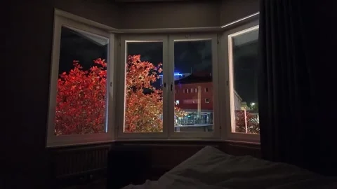 Bedside Bay Window View of Red Autumn Trees and City Lights at Night Stock Footage 347682277