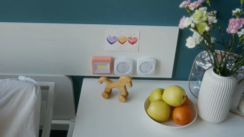 Bedside Table in Maternity Hospital Room Stock Footage 310343672