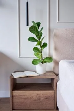 Bedside table with potted plant and open notebook next to bed in modern bedro Stock Photos