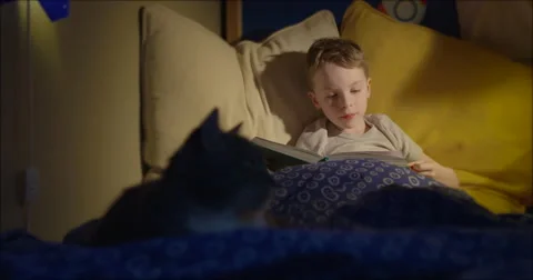 Bedtime reading 7 year old boy travel Video stock 45663115