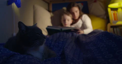 Bedtime reading mum and son travel 50fps Stock Footage 47004839