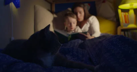 Bedtime reading mum and son Stock Footage 47004913