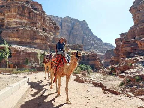 Beduin rides a camel through the rugged sandstone canyons of Petra Stock Photos