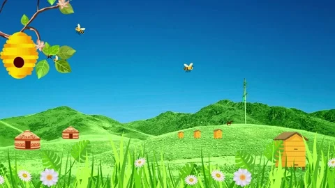 Bee 1 Stock Footage 323446482