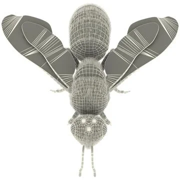 Bee 3D Model