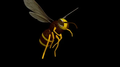Bee 3D Animation Stock Footage 40156779