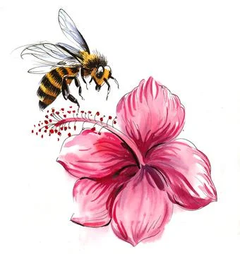 Bee and hibiscus Stock-Illustration