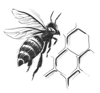 Bee and honey combs Stock Illustration