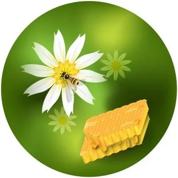 Bee and honey Stock Illustration