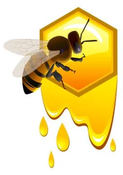 Bee and honeycomb Stock Illustration