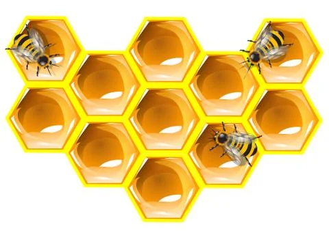 Bee and honeycomb Illustrazione stock