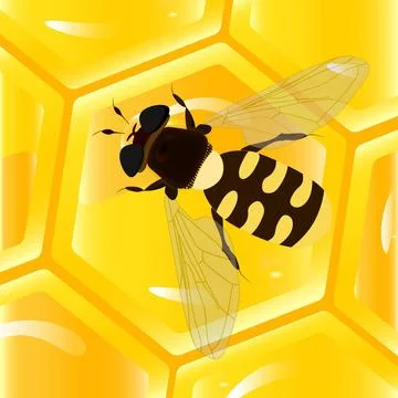 Bee and honeycomb Vector image large bee on honeycomb background Copyright... Stockfoto's