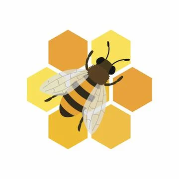 Bee and honeycombs. Vector illustration isolated on white background. Stock Illustration