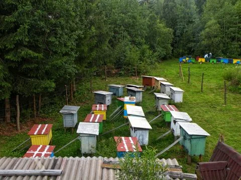 Bee apiary Stock Photos