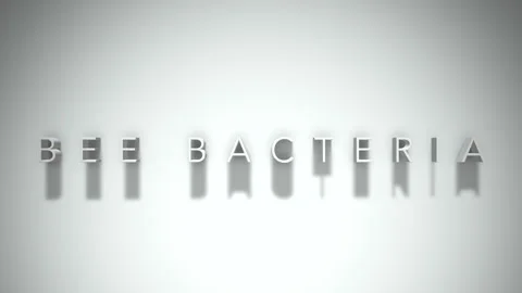 Bee bacteria 3D title animation with shadows on a white background Stock Footage 298002987