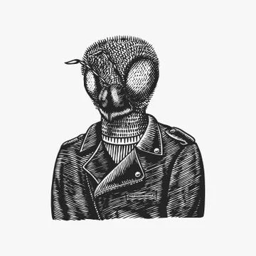 Bee biker. Fly in a leather jacket. Fashion insect character. Hand drawn sketch Stock Illustration