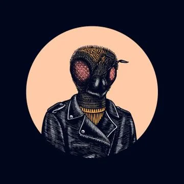 Bee biker. Fly in a leather jacket. Fashion insect character. Hand drawn sketch Stock Illustration