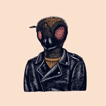 Bee biker. Fly in a leather jacket. Fashion insect character. Hand drawn sketch Stock Illustration