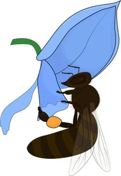 Bee on the blue flower on white background Stock Illustration