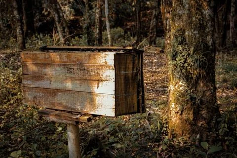Bee box Stock Photos