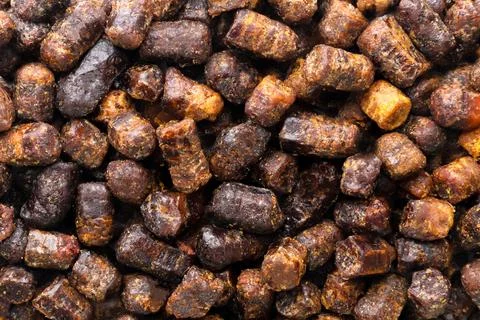 Bee bread background. Top view Stock Photos