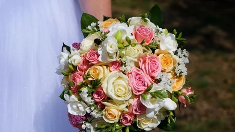Bee on a Bride's Bouquet Stock Footage 125130346