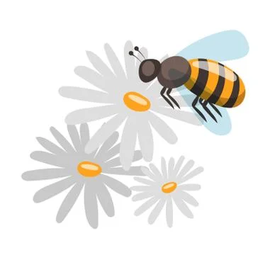 Bee cartoon style vector illustrations Stock Illustration