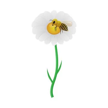 Bee on a chamomile Stock Illustration