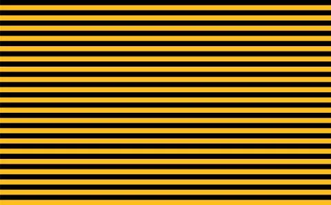 Bee colors, seamless lines background, Black and yellow bees texture. Vector Stock Illustration