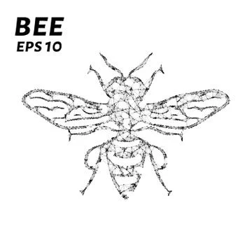 The bee consists of points, lines and triangles. The polygon shape in the f.. Stock Illustration