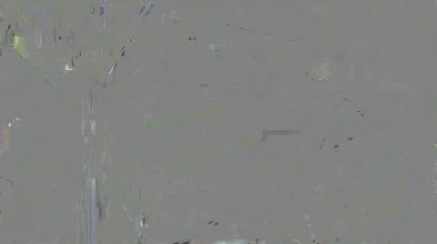 Bee Crossing Video stock 796855