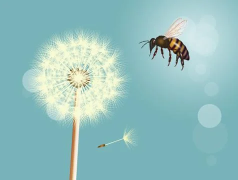 Bee on dandelion Stock Illustration